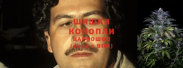 тгк Кулебаки
